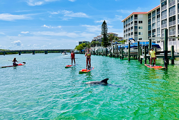 Paddle Board Tours Daytona Beach - Three Brothers Boards