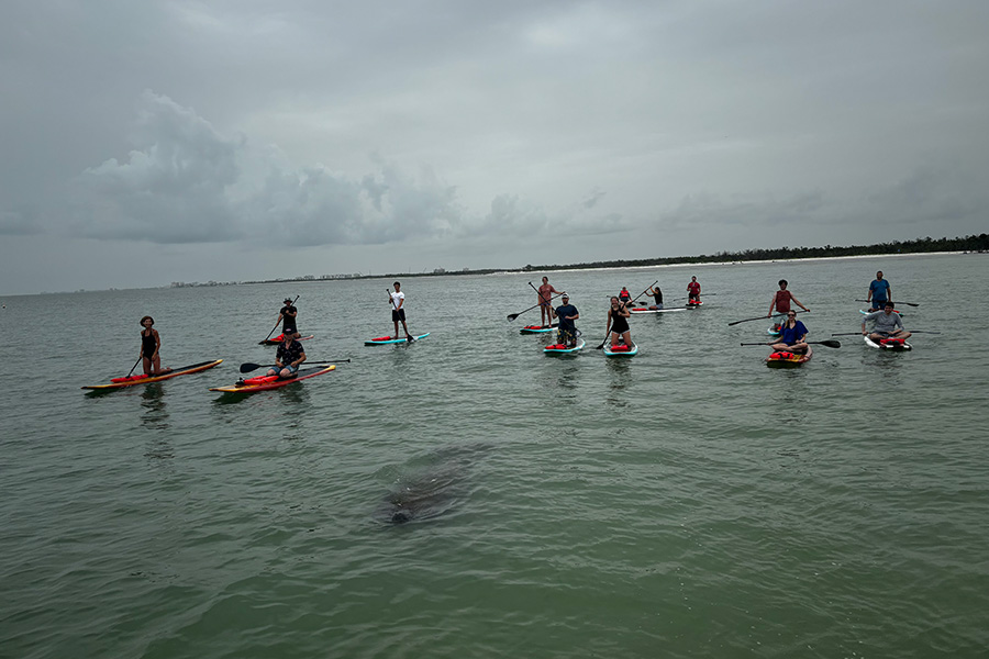 large group during a paddle board tour with three brothers adventure tours.